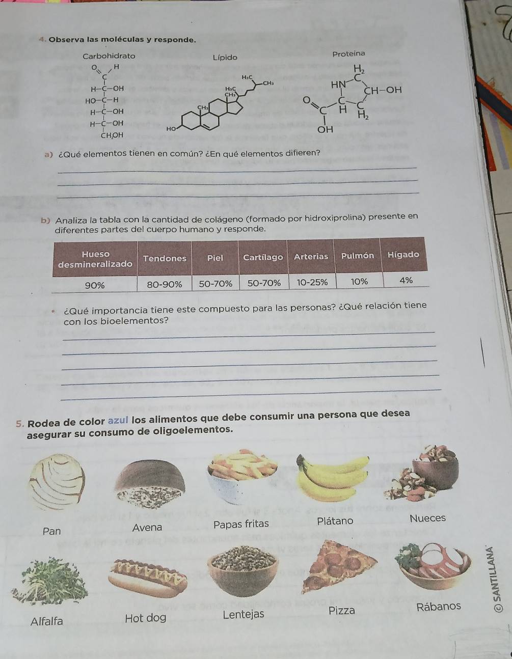 Observa las moléculas y responde.
Carbohidrato Lípido
O H
H-C-OH
HO-C-H
H-C-OH
H-C-OH
CH_2OH
a) ¿Qué elementos tienen en común? ¿En qué elementos difieren?
_
_
_
b) Analiza la tabla con la cantidad de colágeno (formado por hidroxiprolina) presente en
diferentes partes del cuerpo humano y responde.
¿Qué importancia tiene este compuesto para las personas? ¿Qué relación tiene
con los bioelementos?
_
_
_
_
_
5. Rodea de color azul los alimentos que debe consumir una persona que desea
asegurar su consumo de oligoelementos.
Pan Avena Papas fritas Plátano
Nueces
Pizza
Alfalfa Hot dog Lentejas Rábanos