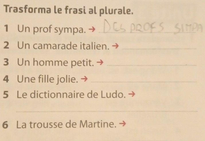 Trasforma le frasi al plurale. 
1 Un prof sympa._ 
2 Un camarade italien._ 
3 Un homme petit._ 
4 Une fille jolie._ 
5 Le dictionnaire de Ludo. 
_ 
6 La trousse de Martine.