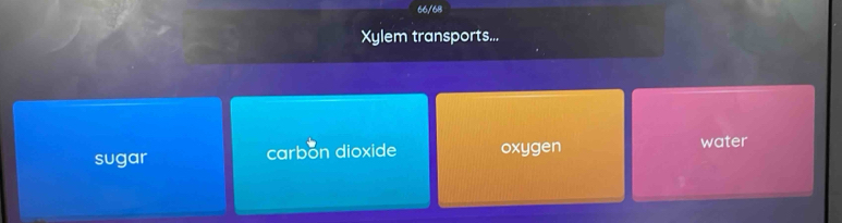 66/68
Xylem transports...
sugar carbon dioxide oxygen water