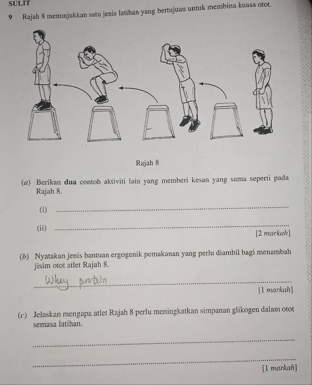 SULIT 
9 Rajah 8 menunjukkan satu jenis latihan yang bertujuan untuk membina kuasa otot. 
Rajah 8 
(α) Berikan dua contoh aktiviti lain yang memberi kesan yang sama seperti pada 
Rajah 8. 
(i) 
_ 
(ii) 
_ 
[2 markah] 
(b) Nyatakan jenis bantuan ergogenik pemakanan yang perlu diambil bagi menambah 
jisim otot atlet Rajah 8. 
_ 
[1 markah] 
(c) Jelaskan mengapa atlet Rajah 8 perlu meningkatkan simpanan glikogen dalam otot 
semasa latihan. 
_ 
_ 
[1 markah]