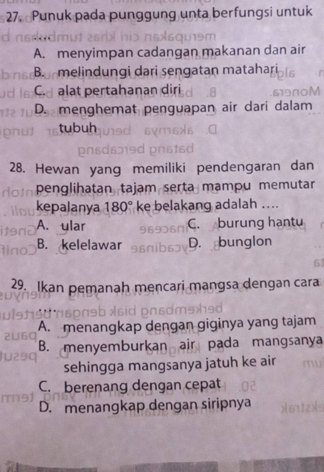 Punuk pada punggung unta berfungsi untuk
A. menyimpan cadangan makanan dan air
B. melindungi dari sengatan matahari
C. alat pertahanan diri
D. menghemat penguapan air dari dalam
tubuh
28. Hewan yang memiliki pendengaran dan
penglihatan tajam serta mampu memutar
kepalanya 180° ke belakang adalah …..
A. ular C. burung hantu
B. kelelawar D. bunglon
29. Ikan pemanah mencari mangsa dengan cara
A. menangkap dengan giginya yang tajam
B. menyemburkan air pada mangsanya
sehingga mangsanya jatuh ke air
C. berenang dengan cepat
D. menangkap dengan siripnya