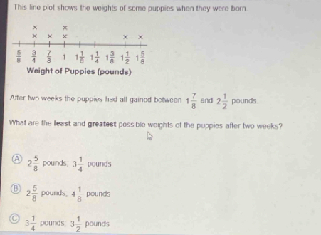 This line plot shows the weights of some puppies when they were born.
After two weeks the puppies had all gained between 1 7/8  and 2 1/2  pounds.
What are the least and greatest possible weights of the puppies after two weeks?
A 2 5/8  pounds 3 1/4  pounds
2 5/8  pounds; 4 1/8  pounds
3 1/4  pounds, 3 1/2  pounds