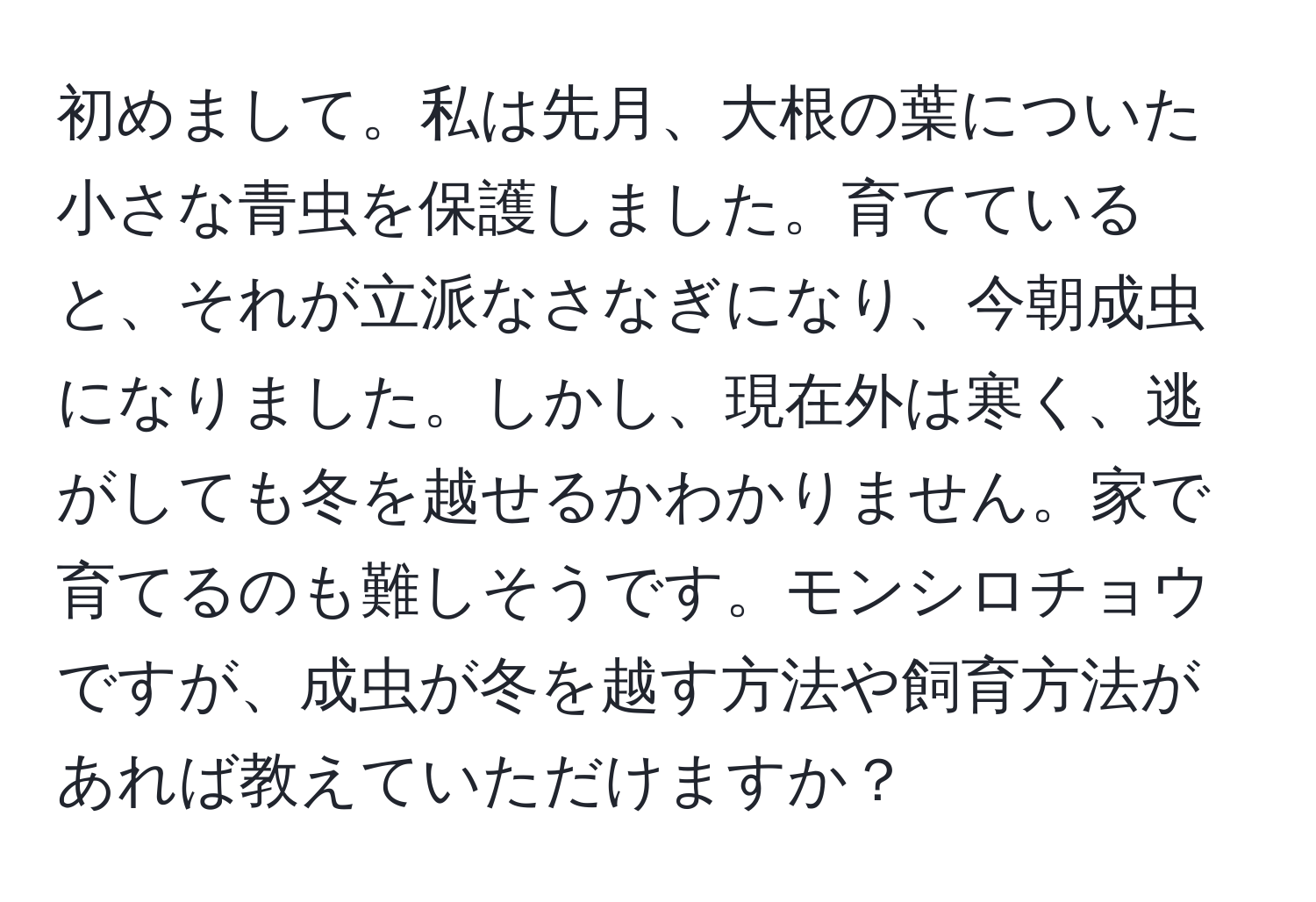 初めまして。私は先月、大根の葉についた小さな青虫を保護しました。育てていると、それが立派なさなぎになり、今朝成虫になりました。しかし、現在外は寒く、逃がしても冬を越せるかわかりません。家で育てるのも難しそうです。モンシロチョウですが、成虫が冬を越す方法や飼育方法があれば教えていただけますか？