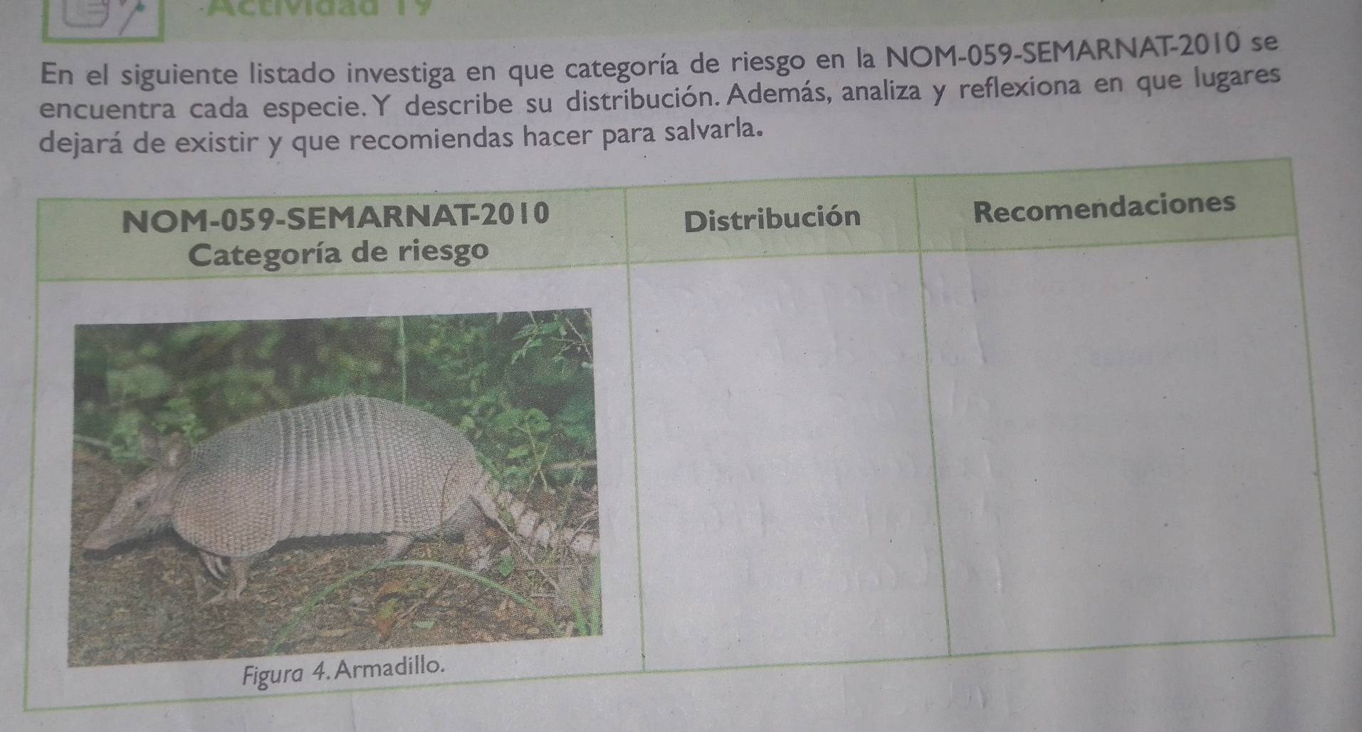 ACuivid20 1？ 
En el siguiente listado investiga en que categoría de riesgo en la NOM-059-SEMARNAT-2010 se 
encuentra cada especie. Y describe su distribución. Además, analiza y reflexiona en que lugares 
omiendas hacer para salvarla.