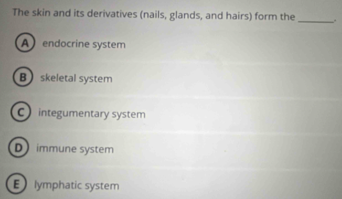 The skin and its derivatives (nails, glands, and hairs) form the _.
A endocrine system
B skeletal system
C integumentary system
D immune system
E lymphatic system