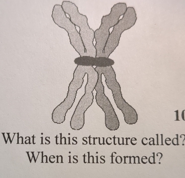 What icalled? 
When is this formed?