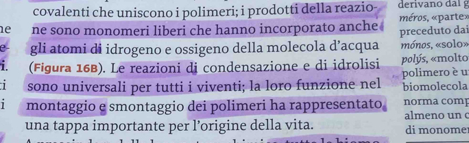 covalenti che uniscono i polimeri; i prodotti della reazio- derivano dal g 
e ne sono monomeri liberi che hanno incorporato anche méros, «parte» 
e- gli atomi di idrogeno e ossigeno della molecola d’acqua preceduto dai mónos, «solo» 
i. (Figura 16B). Le reazioni di condensazione e di idrolisi polýs, «molto 
1 sono universali per tutti i viventi; la loro funzione nel polimero è u biomolecola 
1 montaggio e smontaggio dei polimeri ha rappresentato norma comp 
almeno un c 
una tappa importante per l’origine della vita. di monomer