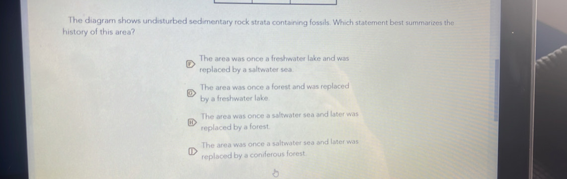 Solved: The diagram shows undisturbed sedimentary rock strata ...