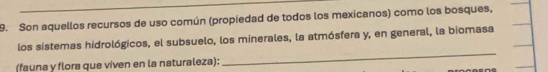 Son aquellos recursos de uso común (propiedad de todos los mexicanos) como los bosques, 
_ 
los sistemas hidrológicos, el subsuelo, los minerales, la atmósfera y, en general, la biomasa 
(fauna y flora que viven en la naturaleza):