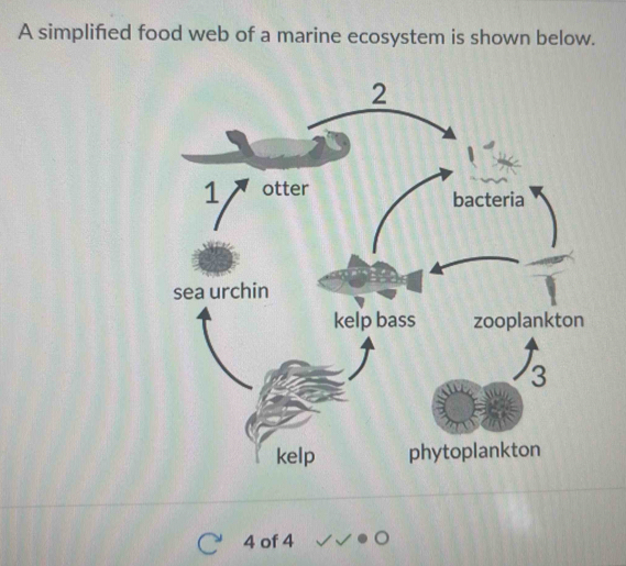 Solved: A simplified food web of a marine ecosystem is shown below. 4 ...