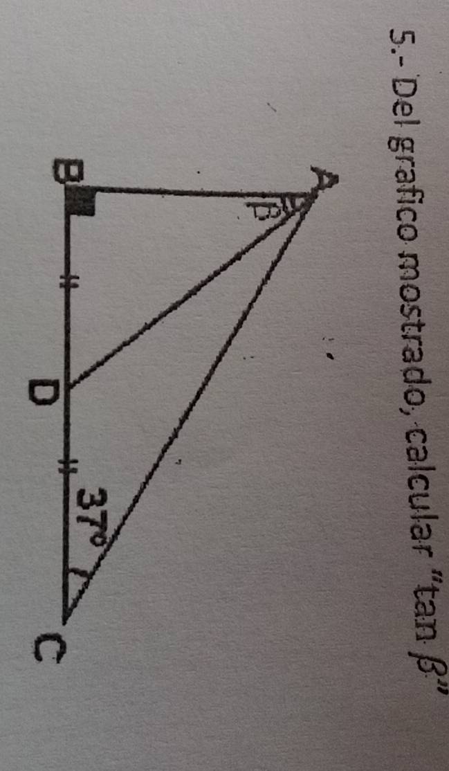 5.- Del grafico mostrado, calcular “tan beta ''