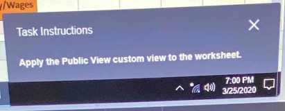 Wages 
Task Instructions 
Apply the Public View custom view to the worksheet. 
7:00 PM 
3/25/2020