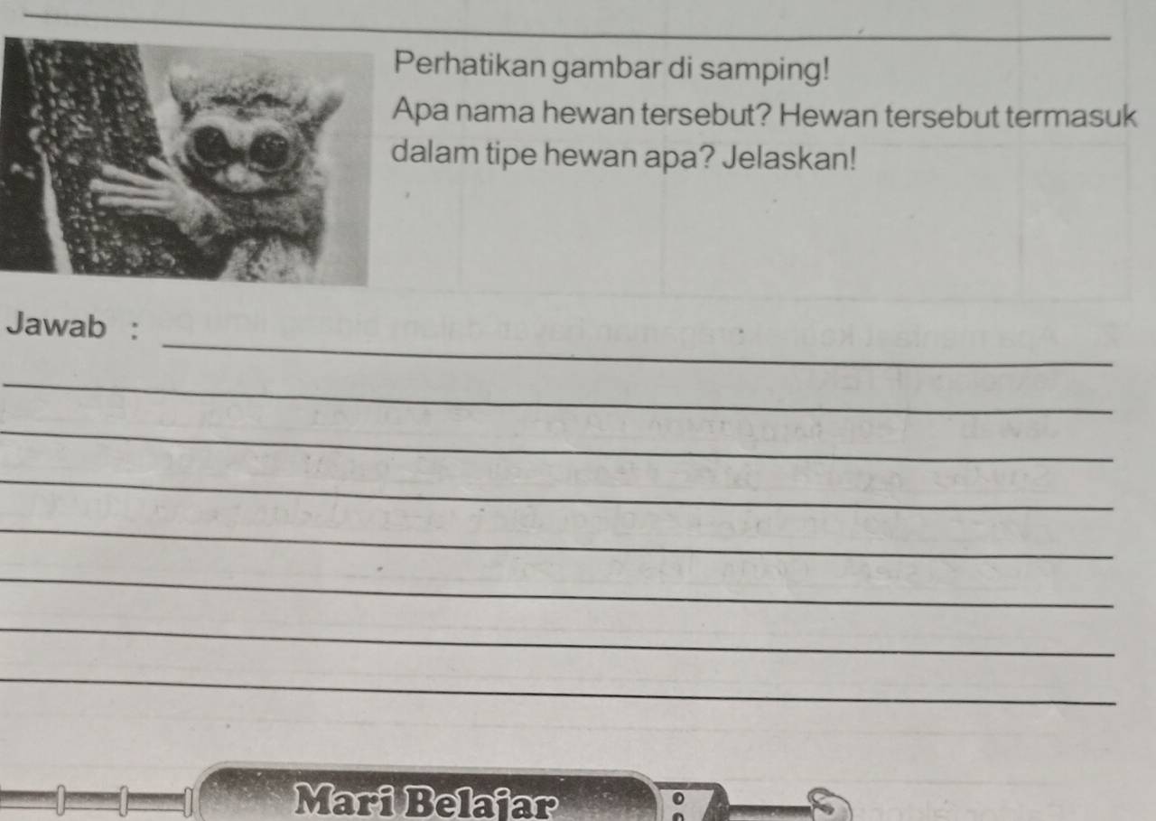 erhatikan gambar di samping! 
pa nama hewan tersebut? Hewan tersebut termasuk 
lam tipe hewan apa? Jelaskan! 
_ 
Jawab : 
_ 
_ 
_ 
_ 
_ 
_ 
_ 
Mari Belajar