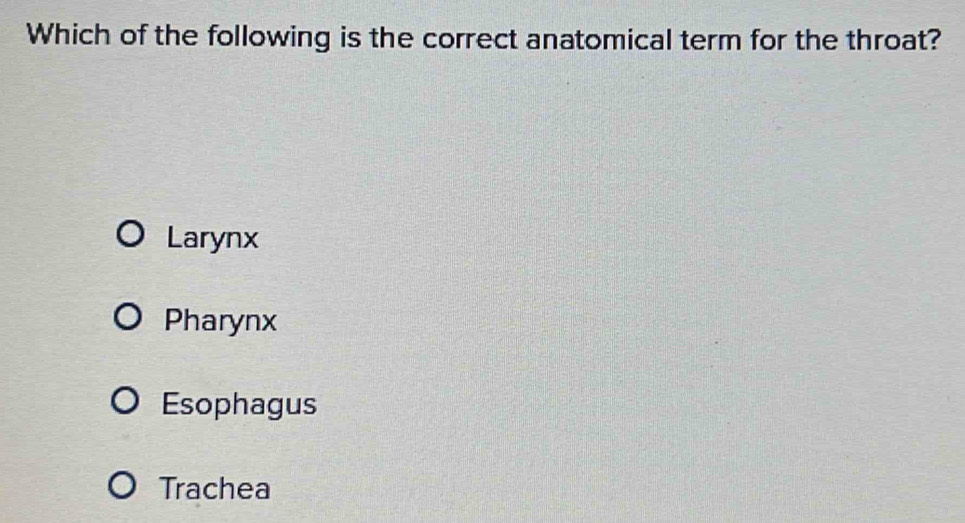 Which of the following is the correct anatomical term for the throat?
Larynx
Pharynx
Esophagus
Trachea