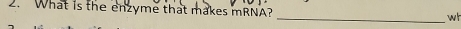 What is the enzyme that makes mRNA? 
_wh