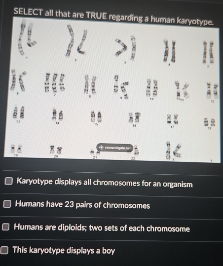 SELECT all that are TRUE regarding a human karyotype.
A 13
1 a
-
lo net
Karyotype displays all chromosomes for an organism
Humans have 23 pairs of chromosomes
Humans are diploids; two sets of each chromosome
This karyotype displays a boy