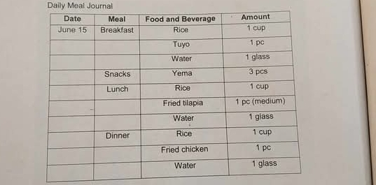 Daily Meal Journal