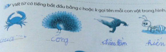 sự Viết từ có tiếng bắt đầu bằng c hoặc k gọi tên mỗi con vật trong hình 
_ 
_ 
_ 
_ 
_ 
_ 
_