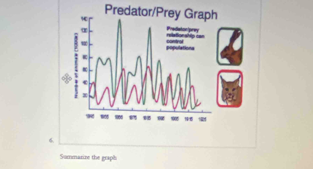 Summarize the graph