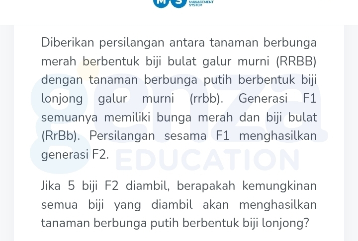 SYSTLM MANAGEMENT 
Diberikan persilangan antara tanaman berbunga 
merah berbentuk biji bulat galur murni (RRBB) 
dengan tanaman berbunga putih berbentuk biji 
lonjong galur murni (rrbb). Generasi F1
semuanya memiliki bunga merah dan biji bulat 
(RrBb). Persilangan sesama F1 menghasilkan 
generasi F2. 
Jika 5 biji F2 diambil, berapakah kemungkinan 
semua biji yang diambil akan menghasilkan 
tanaman berbunga putih berbentuk biji lonjong?