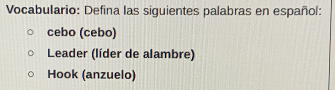 Vocabulario: Defina las siguientes palabras en español:
cebo (cebo)
Leader (líder de alambre)
Hook (anzuelo)