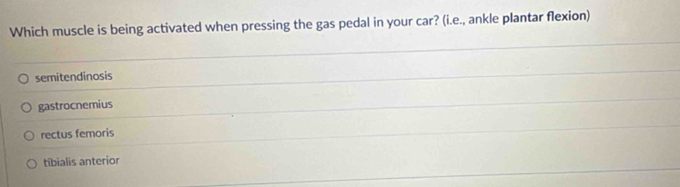 Solved: Which muscle is being activated when pressing the gas pedal in ...