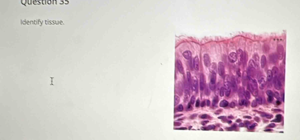 Identify tissue.