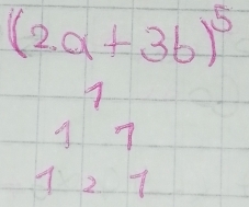 (2a+3b)^5
11