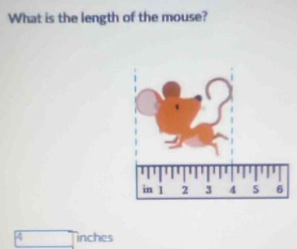 What is the length of the mouse?
4 inches