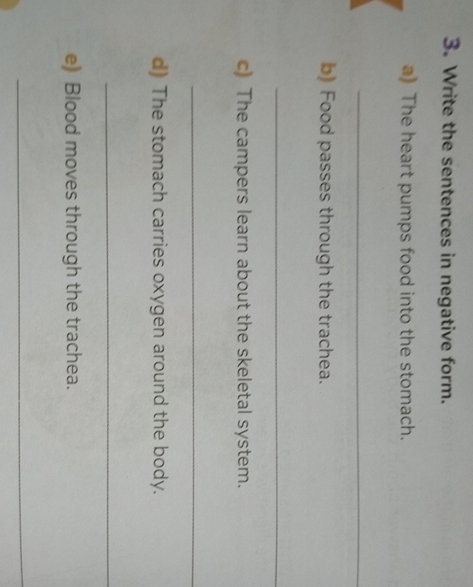 Write the sentences in negative form. 
) The heart pumps food into the stomach. 
_ 
b) Food passes through the trachea. 
_ 
c) The campers learn about the skeletal system. 
_ 
d) The stomach carries oxygen around the body. 
_ 
e) Blood moves through the trachea. 
_