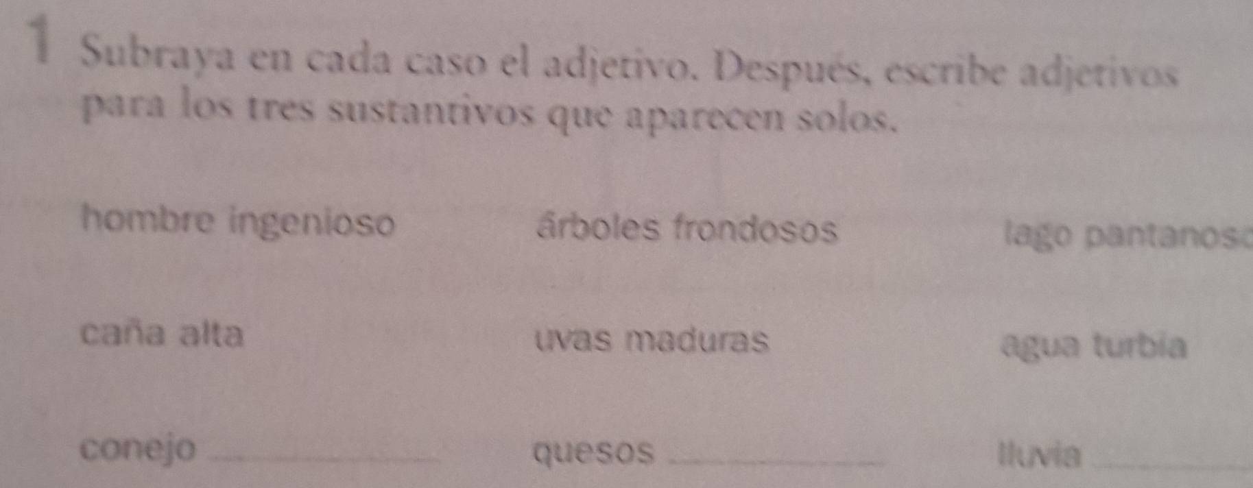 Subraya en cada caso el adjetivo. Después, escribe adjetivos
para los tres sustantivos que aparecen solos.
hombre ingenioso árboles frondosos lago pantanoso
caña alta uvas maduras
agua turbia
conejo _quesos _Iluvia_