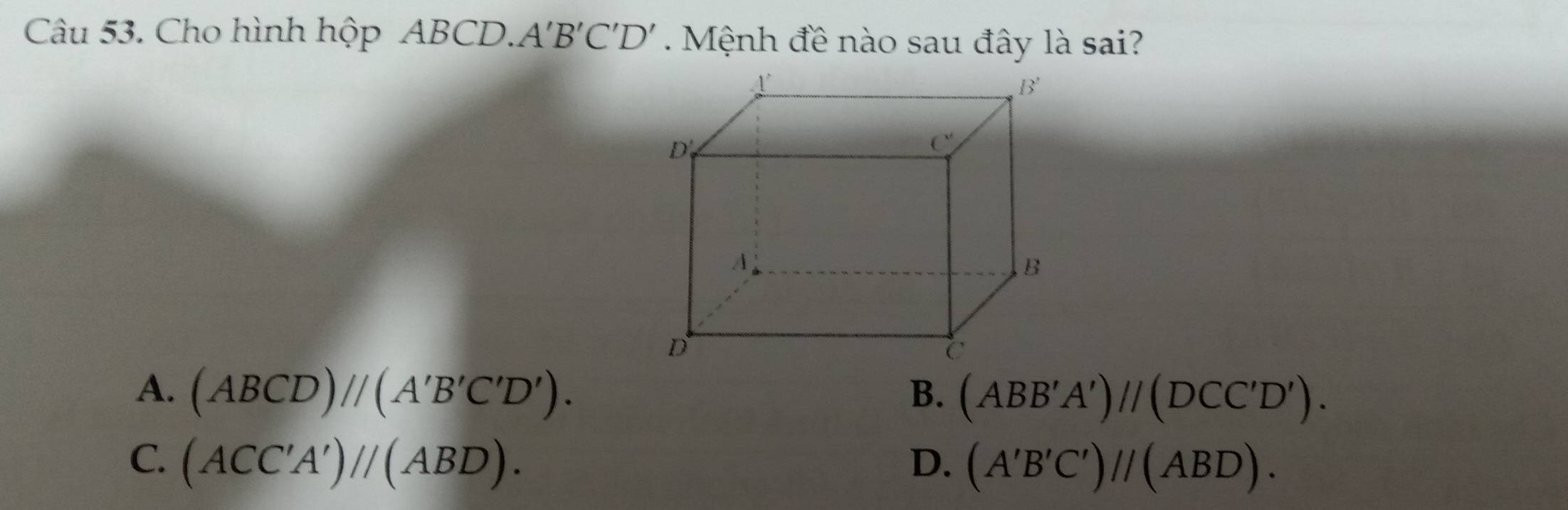 Cho hình hộp ABCD.. A'B'C'D' Mệnh đề nào sau đây là sai?
A. (ABCD)//(A'B'C'D'). B. (ABB'A')//(DCC'D').
C. (ACC'A')//(ABD). D. (A'B'C')//(ABD).