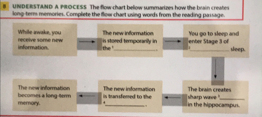 UNDERSTAND A PROCESS The flow chart below summarizes how the brain creates 
long-term memories. Complete the flow chart using words from the reading passage. 
While awake, you The new information You go to sleep and 
receive some new is stored temporarily in enter Stage 3 of 
information. the __sleep. 
The new information The new information The brain creates 
becomes a long-term is transferred to the sharp wave ._ 
memory. _、 in the hippocampus.