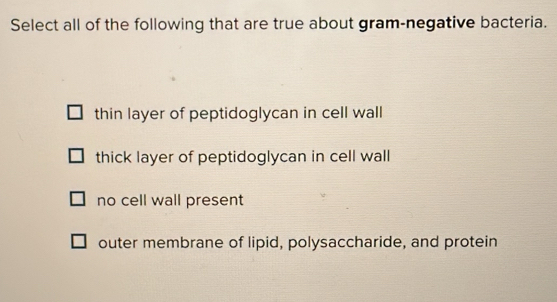 Select all of the following that are true about gram-negative bacteria.
thin layer of peptidoglycan in cell wall
thick layer of peptidoglycan in cell wall
no cell wall present
outer membrane of lipid, polysaccharide, and protein