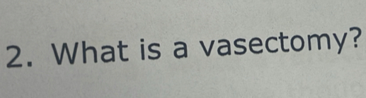 What is a vasectomy?