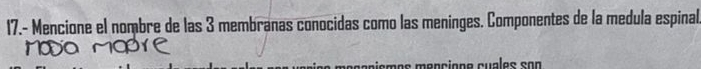 17.- Mencione el nombre de las 3 membranas conocidas como las meninges. Componentes de la medula espinal 
m içm çç maççiçça cuales san