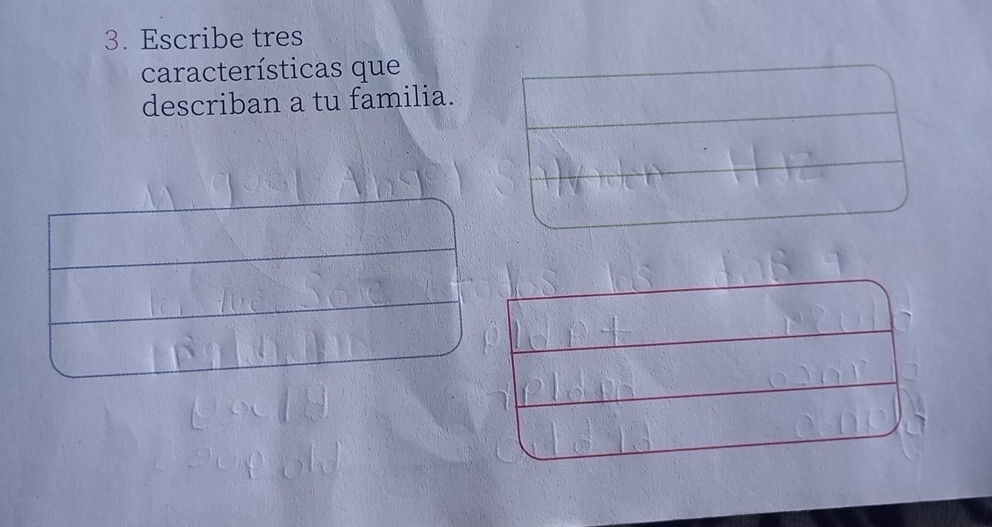 Escribe tres 
características que 
describan a tu familia.