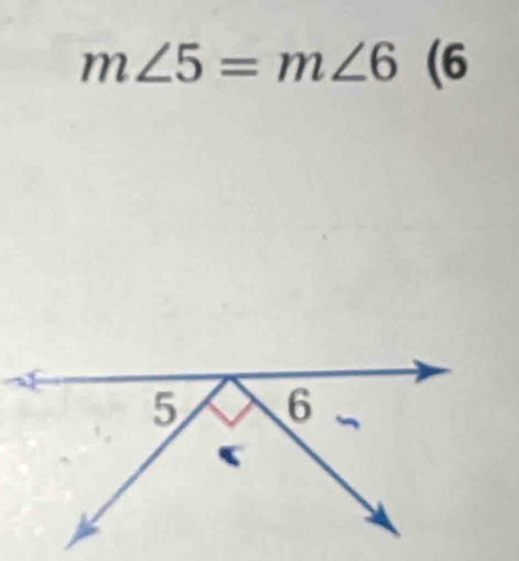 m∠ 5=m∠ 6 (6