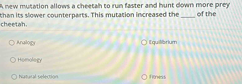 A new mutation allows a cheetah to run faster and hunt down more prey
than its slower counterparts. This mutation increased the _of the
cheetah.
Analogy Equilibrium
Homology
Natural selection Fitness