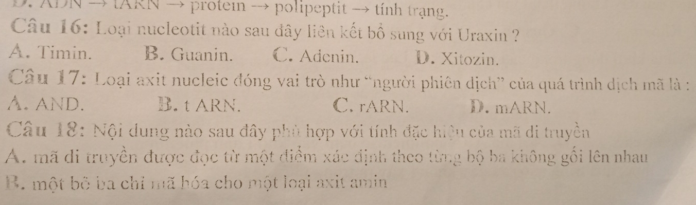 ADN → tARN → proteɪ → polipeptit → tính trạng.
Câu 16: Loại nucleotit nào sau đây liên kết bổ sung với Uraxin ?
A. Timin. B. Guanin. C. Adenin. D. Xitozin.
Câu 17: Loại axit nucleic đóng vai trò như “người phiên dịch” của quá trình dịch mã là :
A. AND. B. t ARN. C. rARN. D.mARN.
Câu 18: Nội dung nào sau đây phù hợp với tính đặc hiệu của mã di truyền
A. mã di truyền được đọc từ một điểm xác định theo từng bộ ba không gối lên nhau
B. một bộ ba chỉ mã hóa cho một loại axit amin