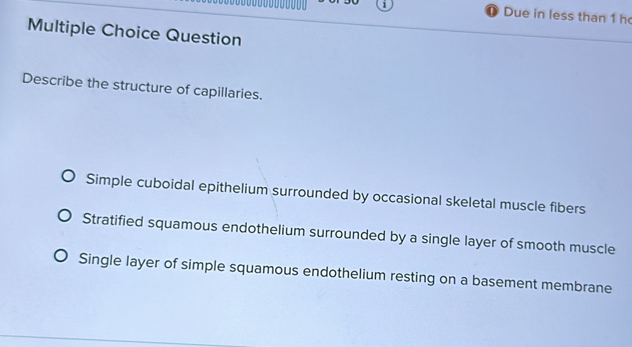 Due in less than 1 h
D
Multiple Choice Question
Describe the structure of capillaries.
Simple cuboidal epithelium surrounded by occasional skeletal muscle fibers
Stratified squamous endothelium surrounded by a single layer of smooth muscle
Single layer of simple squamous endothelium resting on a basement membrane