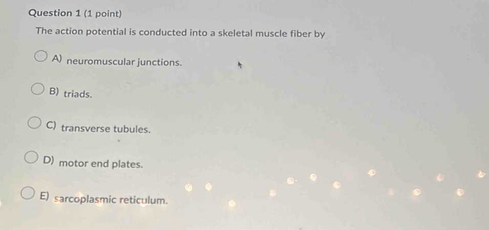 The action potential is conducted into a skeletal muscle fiber by
A) neuromuscular junctions.
B) triads.
C) transverse tubules.
D) motor end plates.
E) sarcoplasmic reticulum.