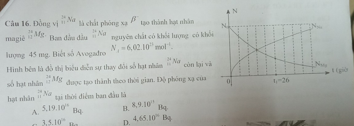 Đồng vị _(11)^(24)Na là chất phóng xạ beta^- tạo thành hạt nhân 
magiê _(12)^(24)Mg Ban đầu đầu _(11)^(24)Na nguyên chất có khối lượng có khố
lượng 45 mg. Biết số Avogadro N_A=6,02.10^(23)mol^(-1).
Hình bên là đồ thị biểu diễn sự thay đồi số hạt nhân _(11)^(24)Na còn lại và
giờ
số hạt nhân _(12)^(24)Mg được tạo thành theo thời gian. Độ phóng xạ của 
hạt nhân _(11)^(24)Na tại thời điểm ban đầu là
A. 5,19.10^(16)Bq
B. 8,9.10^(15)Bq.
C 3.5.10^(16)B D. 4,65.10^(16)Bq.