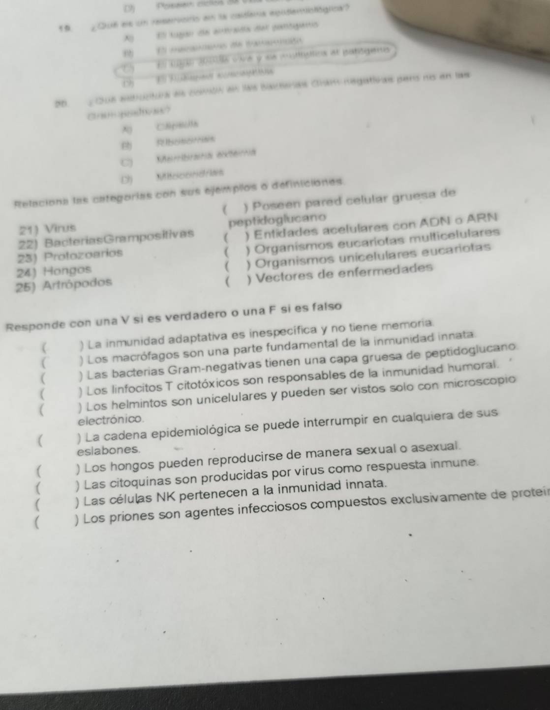 (9) Poraian cnclos d8 
19. ¿Qu6 els un reservos an la caidana epudenológica?
El tugan de antrada del panógano
0 E c de tn
E 1g 20096 viva y se mstttsiticn al patogems
(9) E Rbpent acrscsmn
26. 2 Qu8 estructua ae comón en las Baceras Cran negativas pars ns en las
Crampoloe?
Capeh
B Rbosonss
C) Membrana extera
D) Miiscondries
Relaciona las categorias con sus ejempllos o definiciones.
( ) Poseen pared celular gruesa de
21) Virus
peptidoglucano
22) BacteriasGrampositivas ( ) Entidades acelulares con ADN o ARN
23) Protozoarios
( ) Organísmos eucariotas multicelulares
24) Hongos
( ) Organismos unicelulares eucariotas
25) Artrópodos
( ) Vectores de enfermedades
Responde con una V si es verdadero o una F si es falso
( ) La inmunidad adaptativa es inespecífica y no tiene memoria.
C ) Los macrófagos son una parte fundamental de la inmunidad innata.
( ) Las bacterias Gram-negativas tienen una capa gruesa de peptidoglucano.
( ) Los linfocitos T citotóxicos son responsables de la inmunidad humoral.
( ) Los helmintos son unicelulares y pueden ser vistos solo con microscopio
electrónico.
( ) La cadena epidemiológica se puede interrumpir en cualquiera de sus
eslabones.
( ) Los hongos pueden reproducirse de manera sexual o asexual.
( ) Las citoquinas son producidas por virus como respuesta inmune.
( ) Las células NK pertenecen a la inmunidad innata.
( ) Los priones son agentes infecciosos compuestos exclusivamente de proteir