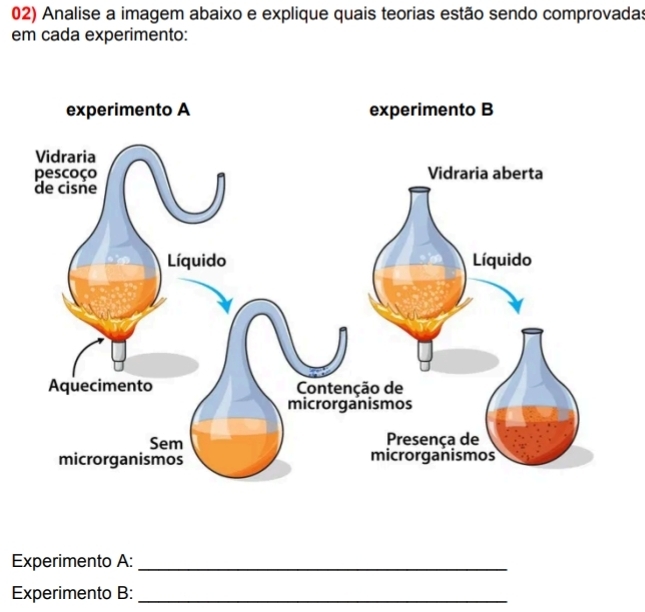 Analise a imagem abaixo e explique quais teorias estão sendo comprovadas 
em cada experimento: 
Experimento A:_ 
Experimento B:_