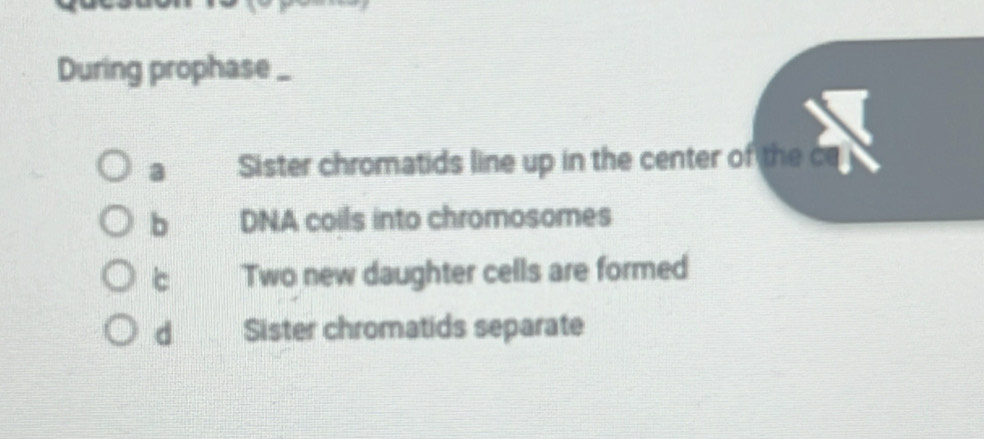 During prophase _
a Sister chromatids line up in the center of the c
b DNA coils into chromosomes
c Two new daughter cells are formed
d Sister chromatids separate