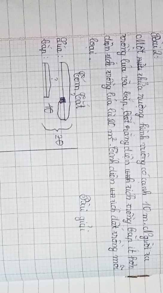 SBcu2: 
clt zhua yuèng Rinh quéng co canh 10m. Cguiiic 
zong Quú zà Beāp, that enàng cliàn zich zèng Bàn it fon 
clin uch zèng Qua lù 20m^2 Cinh clion ich dax móng mài 
Roor. 
go goot Ba giòi 
Qua: beginarrayr 30 / endarray )2endpmatrix  20
bàn: