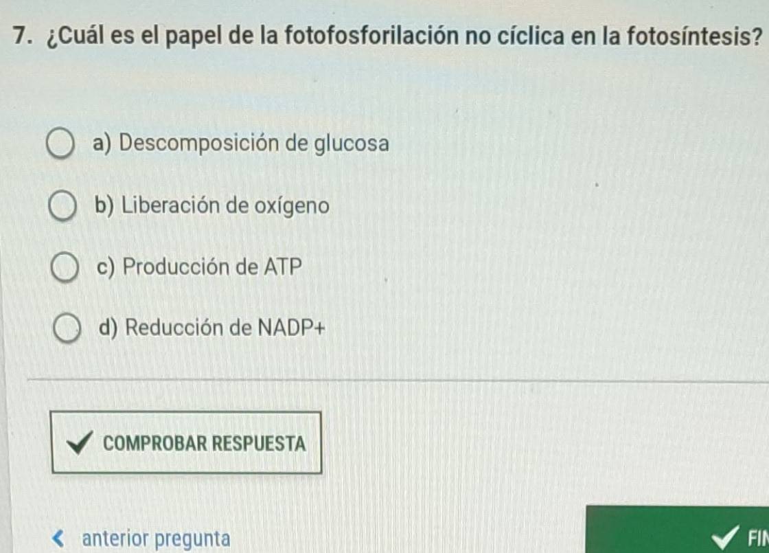 ¿Cuál es el papel de la fotofosforilación no cíclica en la fotosíntesis?
a) Descomposición de glucosa
b) Liberación de oxígeno
c) Producción de ATP
d) Reducción de NADP+
COMPROBAR RESPUESTA
anterior pregunta FIN