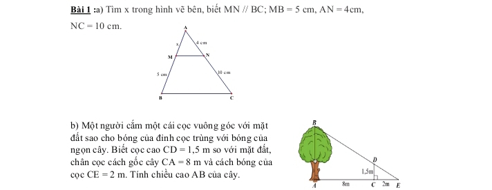 Tìm x trong hình vẽ bên, biết MNparallel BC; MB=5cm, AN=4cm,
NC=10cm. 
b) Một người cắm một cái cọc vuông góc với mặt 
đất sao cho bóng của đỉnh cọc trùng với bóng của 
ngọn cây. Biết cọc cao CD=1,5m so với mặt đất, 
chân cọc cách gốc cây CA=8m và cách bóng của
csc CE=2m. Tính chiều cao AB của cây.