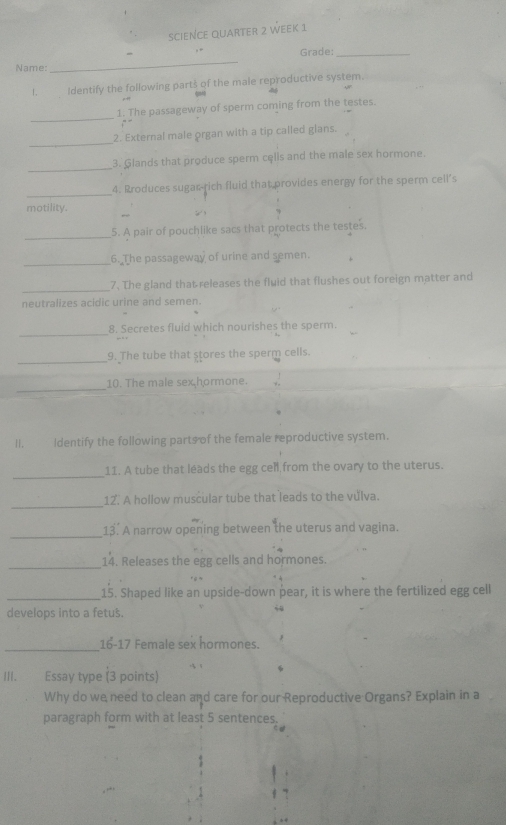 science quarter 2 week 1 
Grade:_ 
Name: 
_ 
1. Identify the following parts of the male reproductive system. 
46 
q 
_ 
1. The passageway of sperm coming from the testes. 
_ 
2. External male organ with a tip called glans. 
_ 
3. Glands that produce sperm cęlls and the male sex hormone. 
_ 
4. Rroduces sugar-rich fluid that provides energy for the sperm cell’s 
_ 
motility. 
_ 
5. A pair of pouchlike sacs that protects the testes. 
_6. The passageway of urine and semen. 
_ 
7. The gland that releases the fluid that flushes out foreign matter and 
neutralizes acidic urine and semen. 
_ 
8. Secretes fluid which nourishes the sperm. 
_ 
9. The tube that stores the sperm cells. 
_ 
10. The male sex hormone. 
II. Identify the following parts of the female reproductive system. 
_ 
11. A tube that léads the egg cel from the ovary to the uterus. 
_ 
12. A hollow muscular tube that leads to the vulva. 
_ 
13. A narrow opening between the uterus and vagina. 
_ 
14. Releases the egg cells and hormones. 
_15. Shaped like an upside-down pear, it is where the fertilized egg cell 
develops into a fetus. 
54 
_ 
16-17 Female sex hormones. 
III. Essay type (3 points) 
Why do we need to clean and care for our Reproductive Organs? Explain in a 
paragraph form with at least 5 sentences.